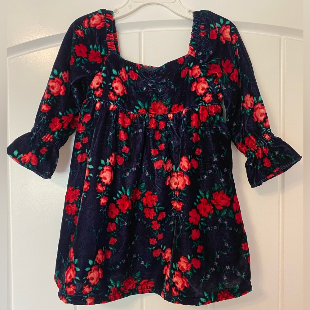 Janie and Jack Rose Dress